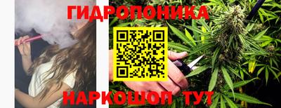 дурь Аргун